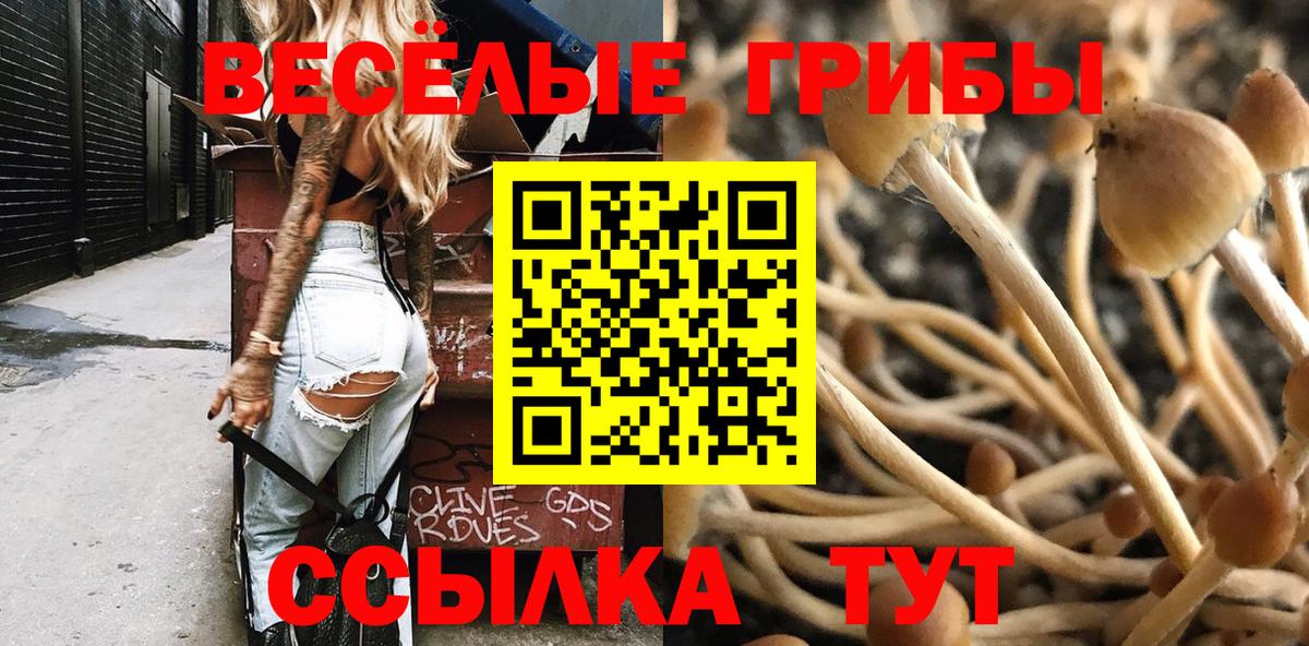 Галлюциногенные грибы ЛСД Ростов-на-Дону