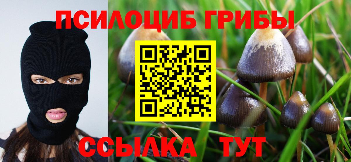 Псилоцибиновые грибы мицелий  Вход с VPN  Ростов-на-Дону 